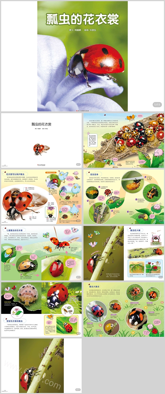 精品完整版幼儿园儿童《瓢虫的花衣裳》科普教育绘本故事ppt课件