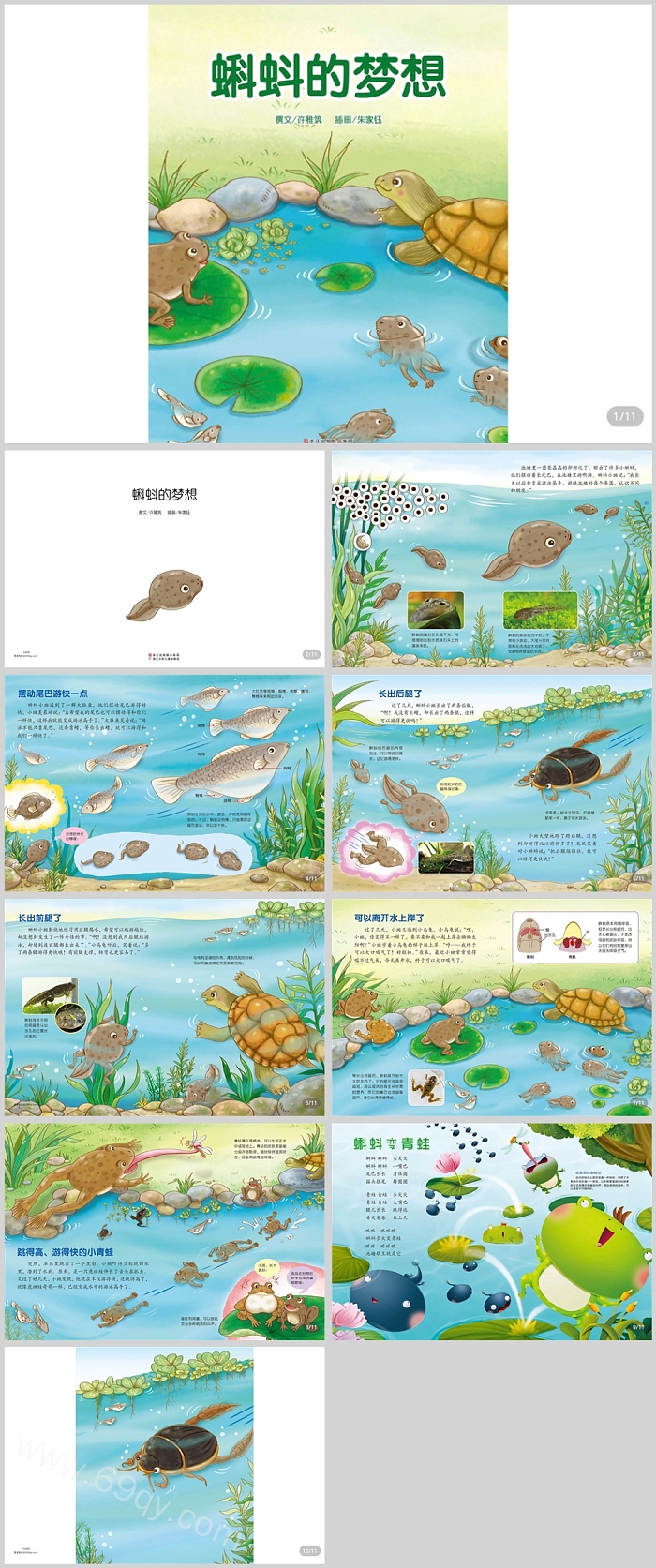 完整版幼儿园儿童《小蝌蚪的梦想》科普教育绘本故事ppt课件