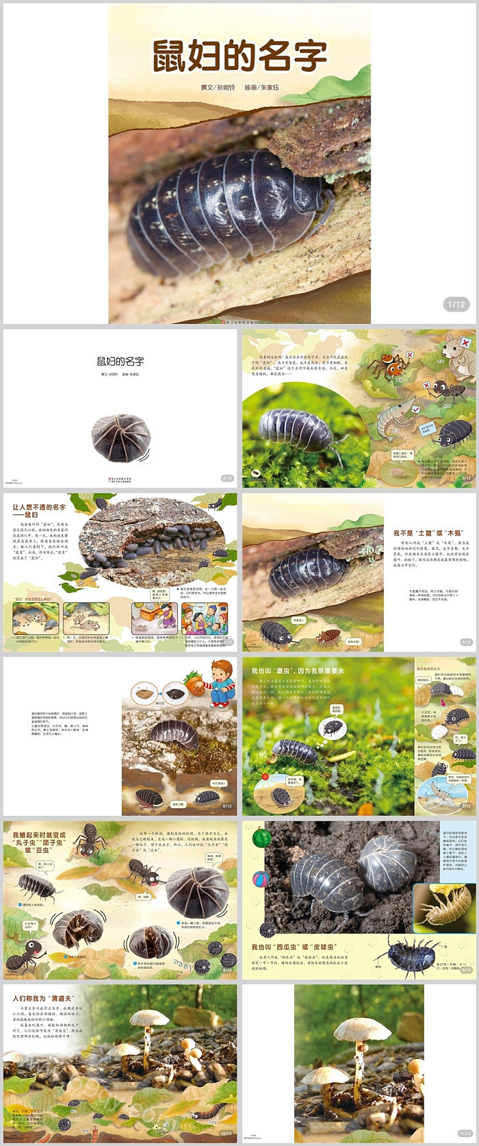 幼儿园儿童科学《鼠妇的名字》科普教育绘本故事ppt课件