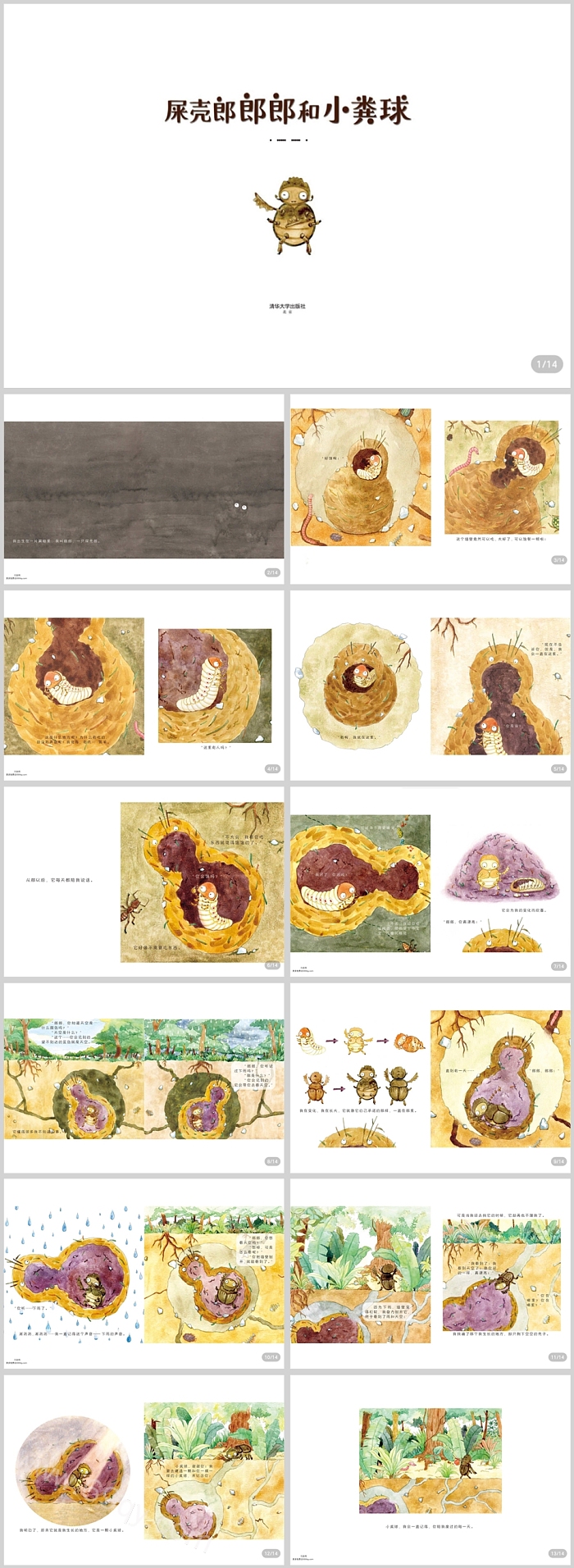 幼儿园昆虫的奥秘《屎壳郎郎郎和小粪球》科普教育绘本故事ppt课件