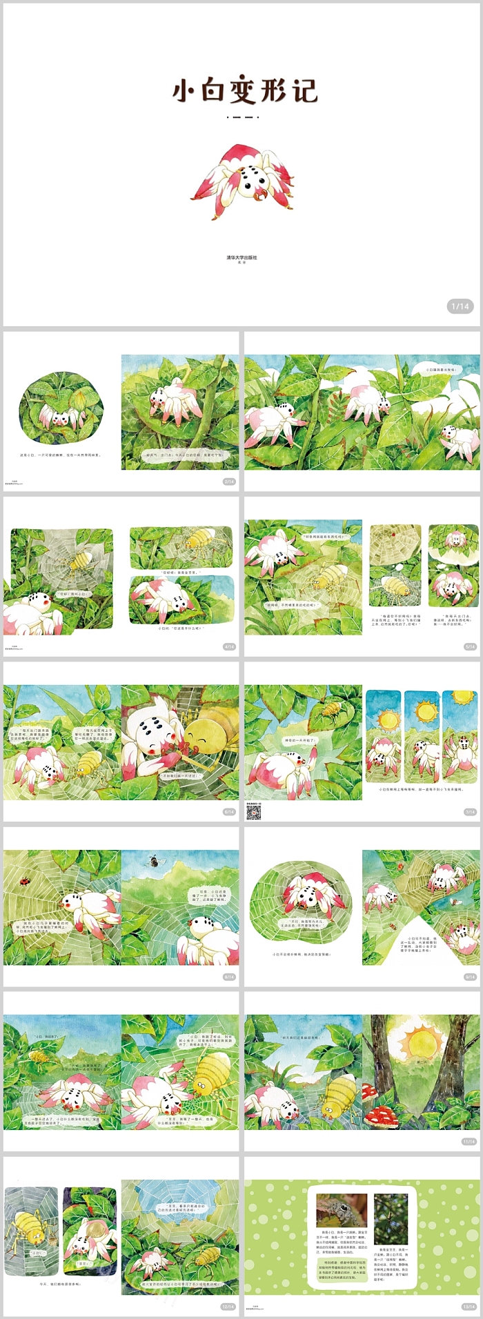 幼儿园儿童童话自然《小白变形记》绘本故事ppt课件