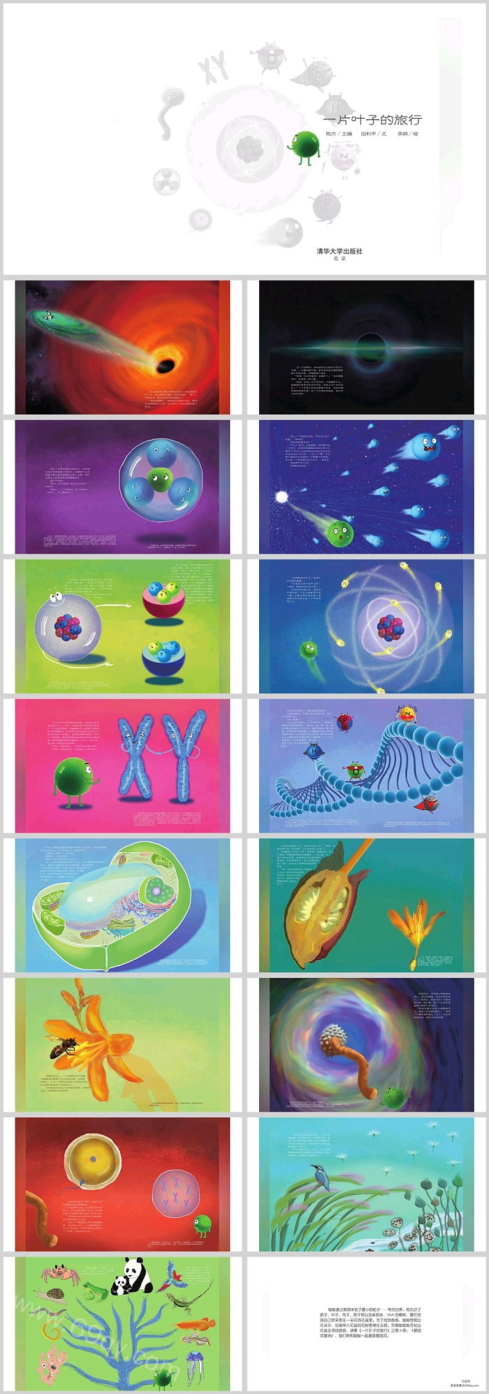 幼儿园大班儿童《从夸克到种子》科普绘本故事ppt课件