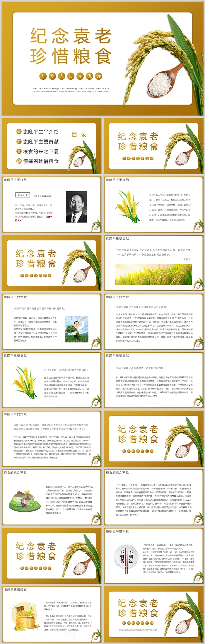2024纪念杂交水稻之父袁隆平纪念袁老珍惜粮食PPT课件