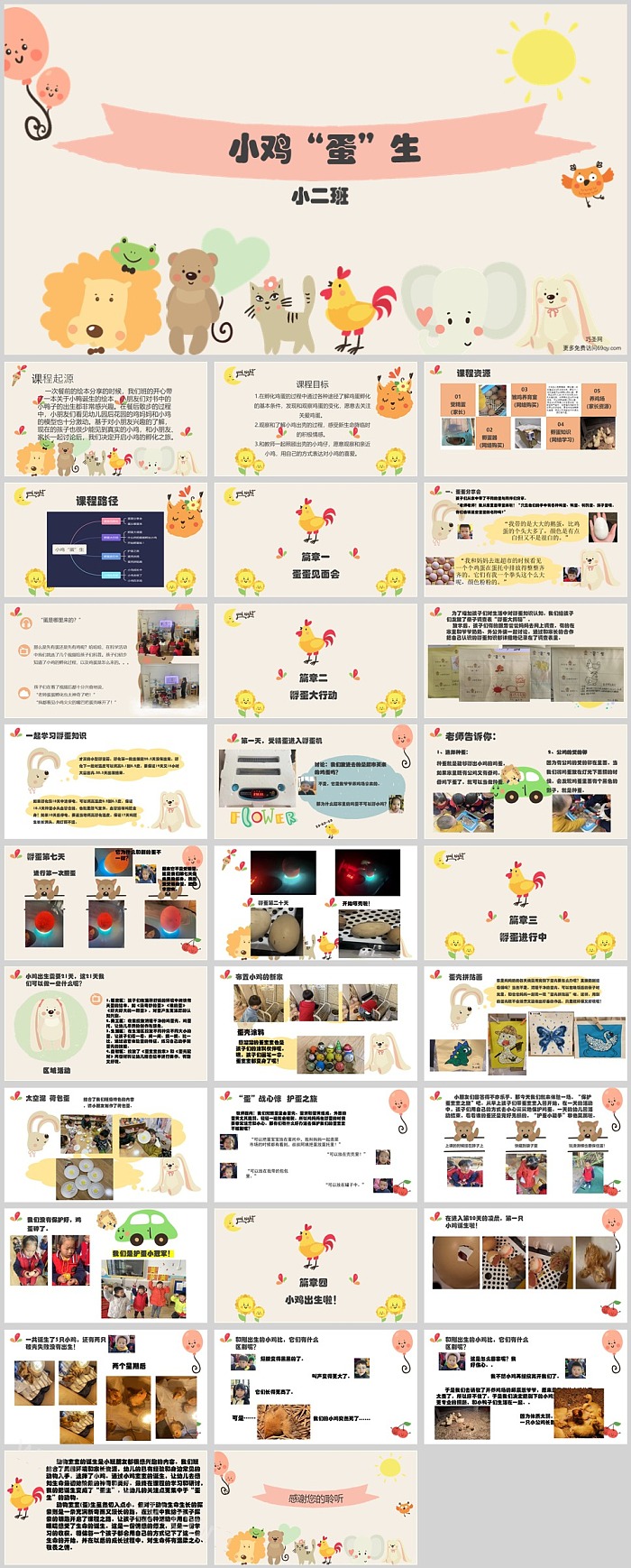 幼儿园小班班本课程《小鸡“蛋”生》30页数学活动PPT课件