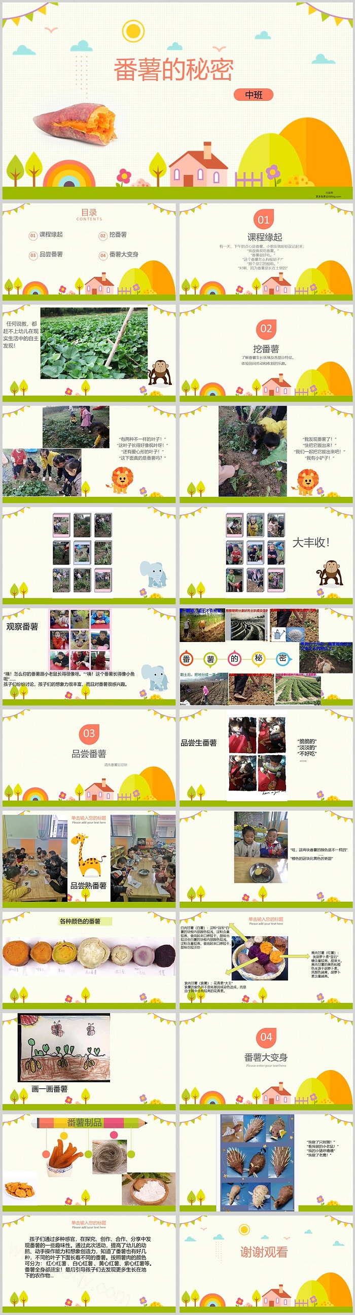 优质完整版幼儿园中班班本课程《番薯的秘密》23页活动PPT课件