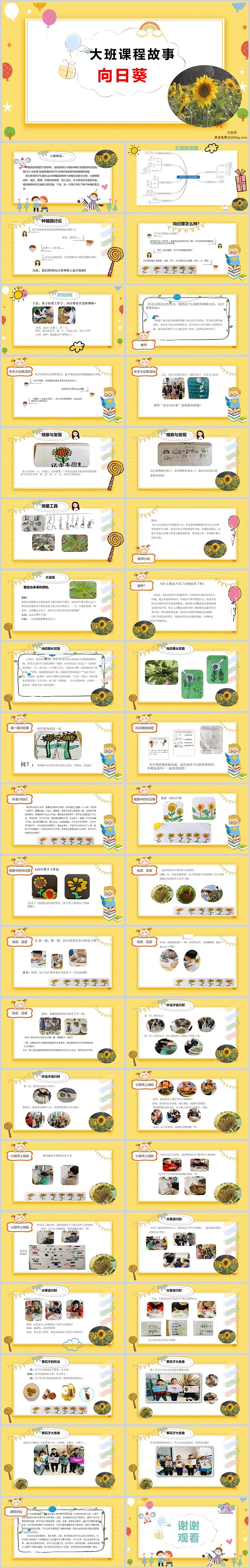 优秀幼儿园大班班本课程故事《向日葵》42页科学教育PPT课件