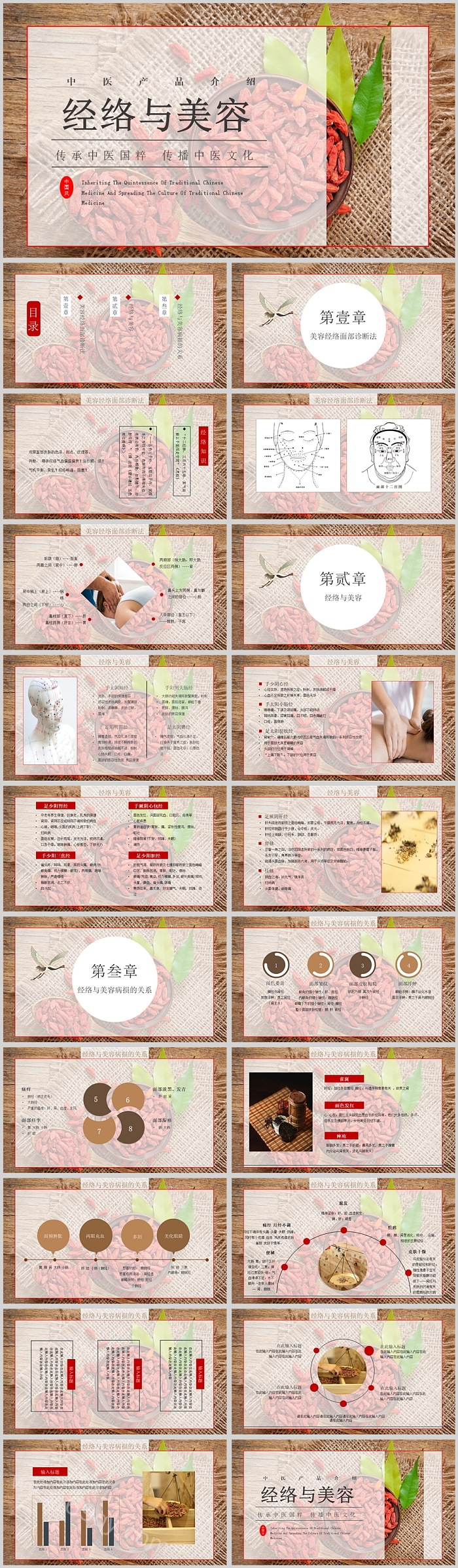 弘扬中医文化知识经络与美容传承中医国粹传播中医文化养生PPT课件