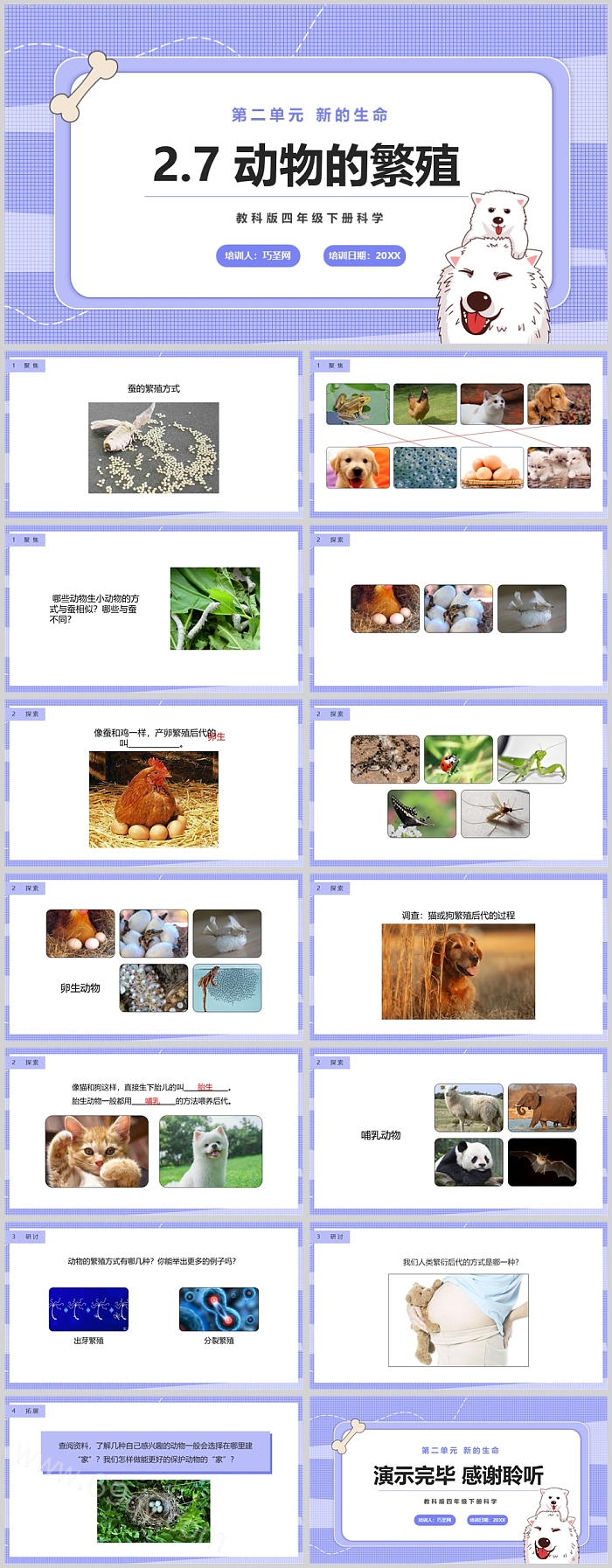 教科版科学三下《动物的繁殖》科普知识教育ppt课件