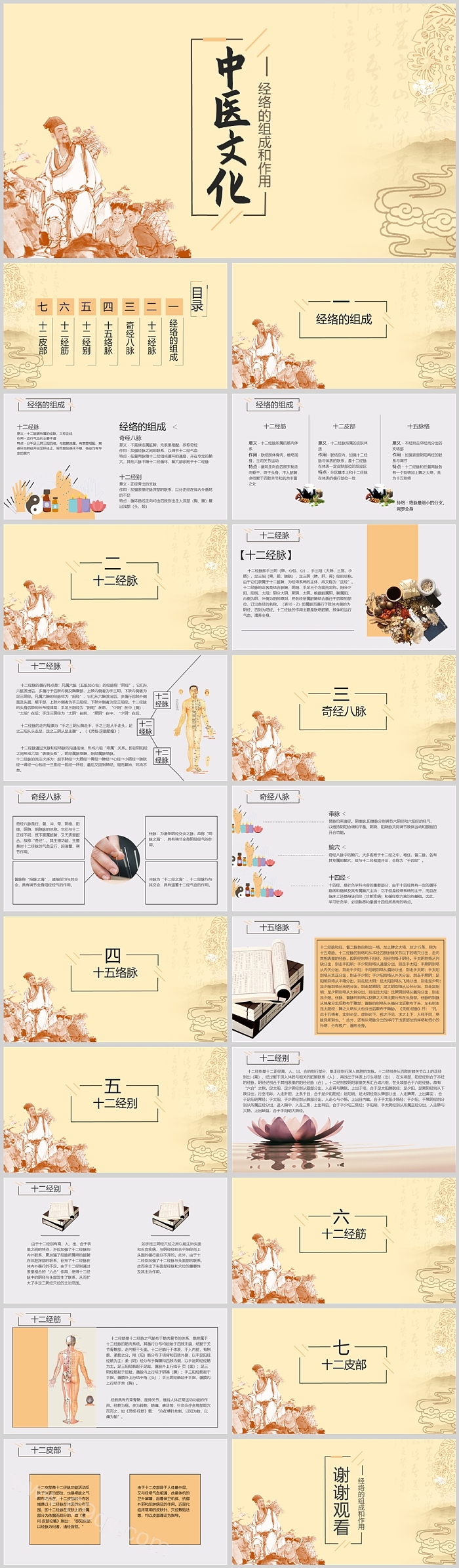 中医文化人体十二条经络的组成和作用基础知识教学ppt课件