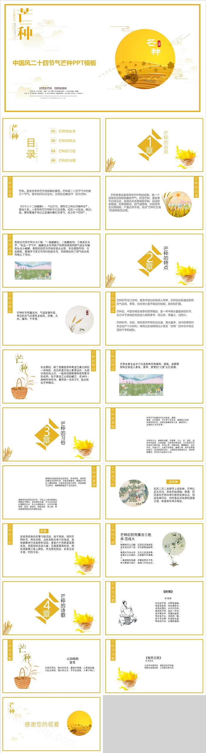中国风中国传统二十四节气芒种习俗介绍PPT模板