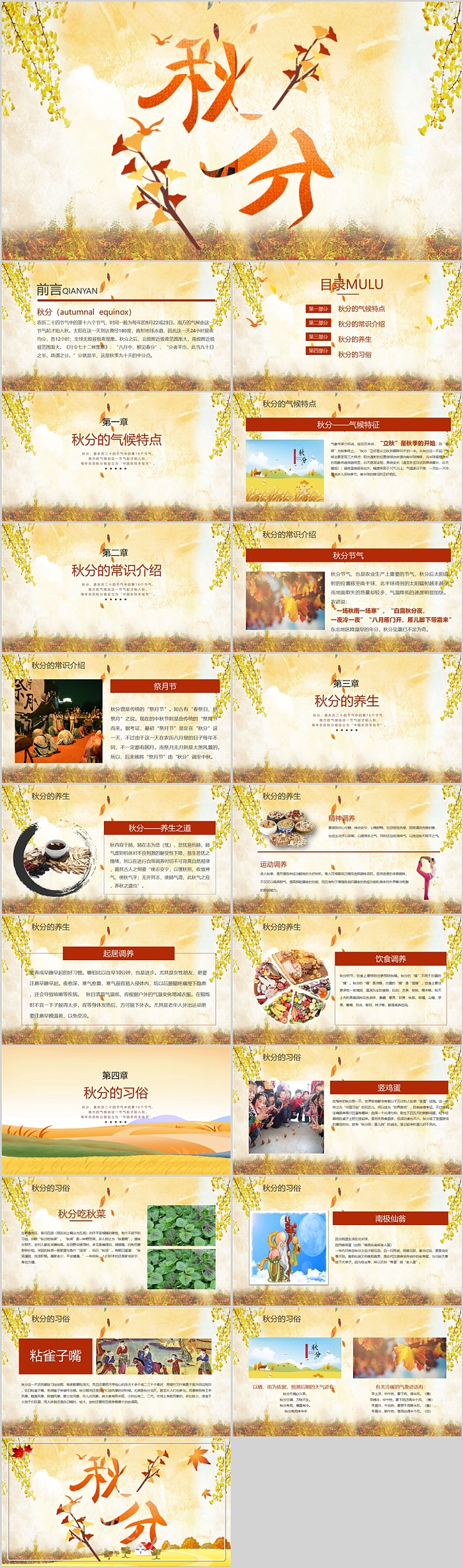 幼儿园小学中国传统二十四节气秋分介绍主题班会ppt课件