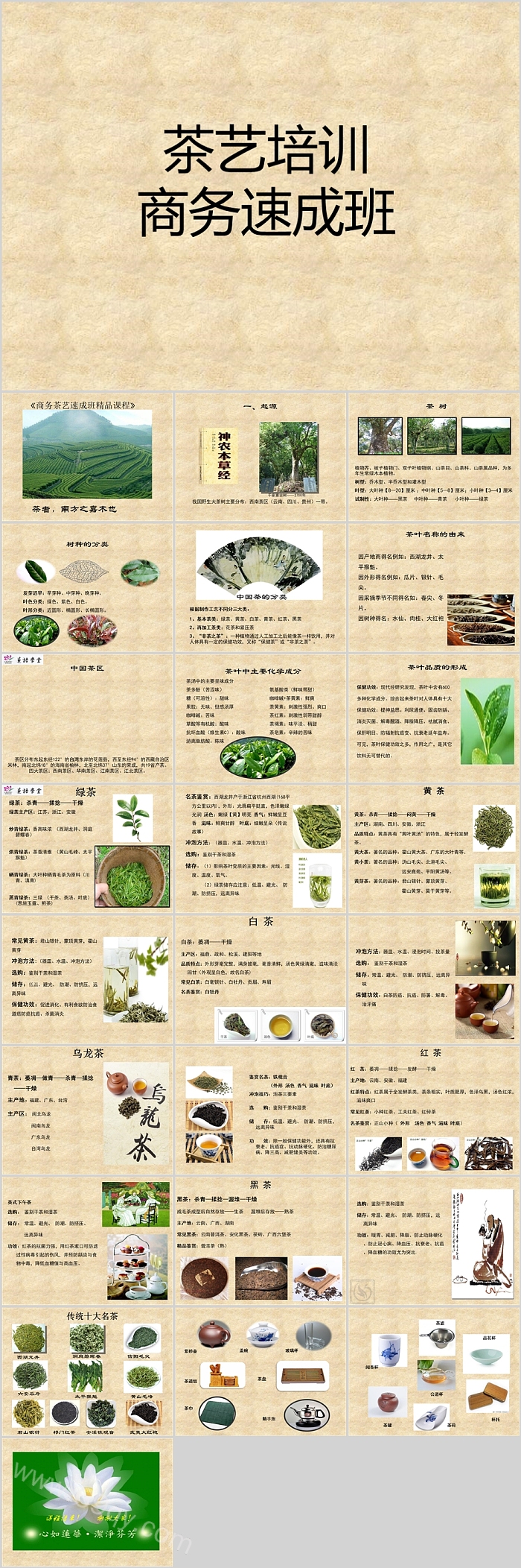 完整版中国传统茶文化知识茶艺培训商务速成班培训讲座PPT课件