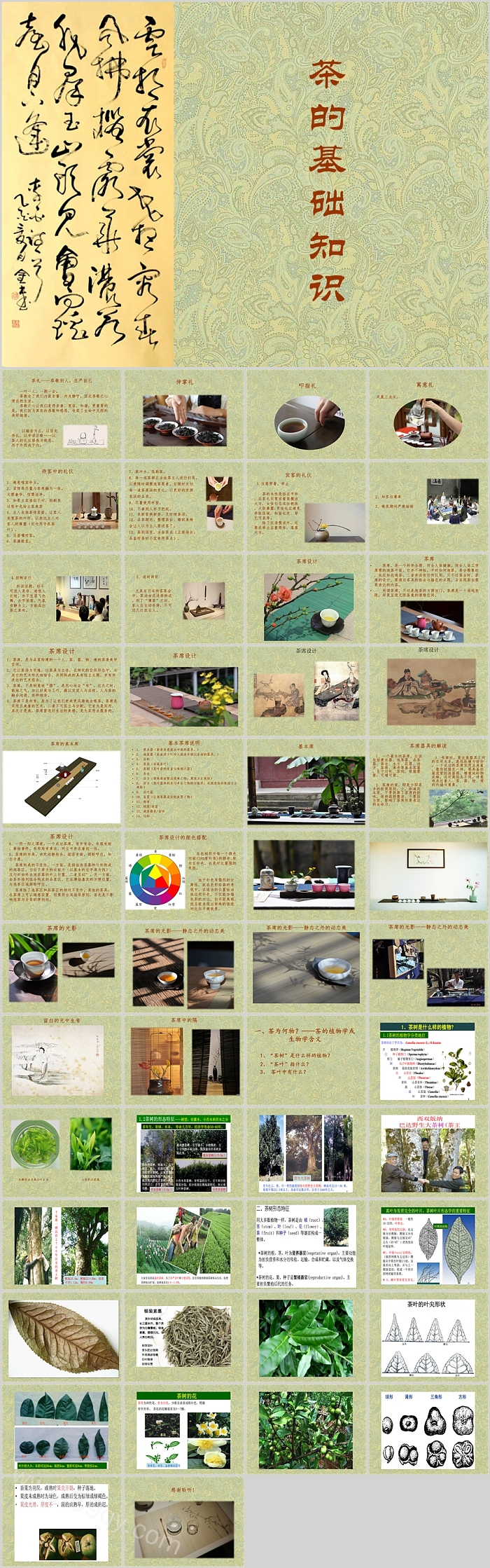 完整版经典中国茶文化茶的基础知识详细讲解PPT课件