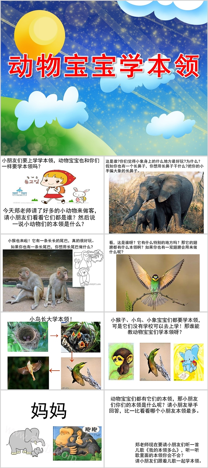幼儿园大班中班科学活动《动物宝宝学本领》教学教案PPT课件