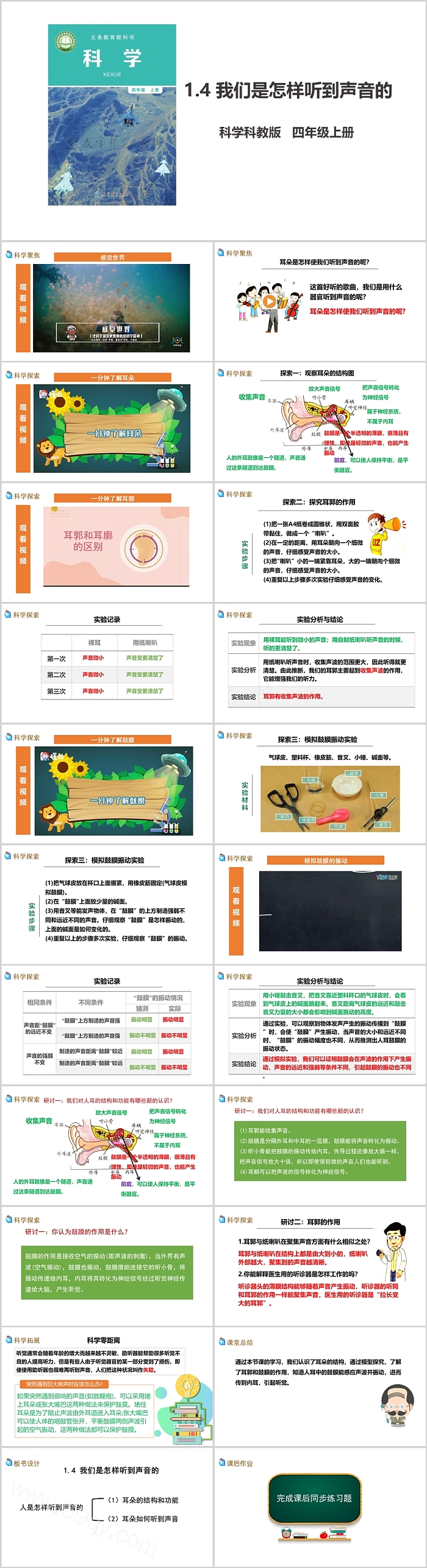 小学科学教科版四年级上册《我们是怎样听到声音的》教学ppt课件