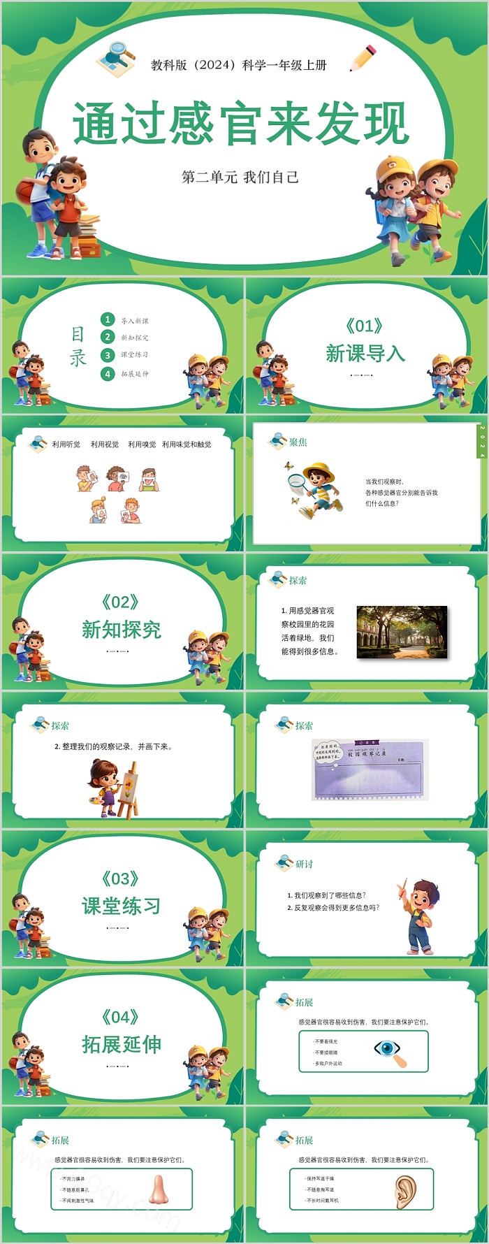 2024新教科版小学科学一年级上册 第二单元 我们自己《通过感官来发现》教学ppt课件