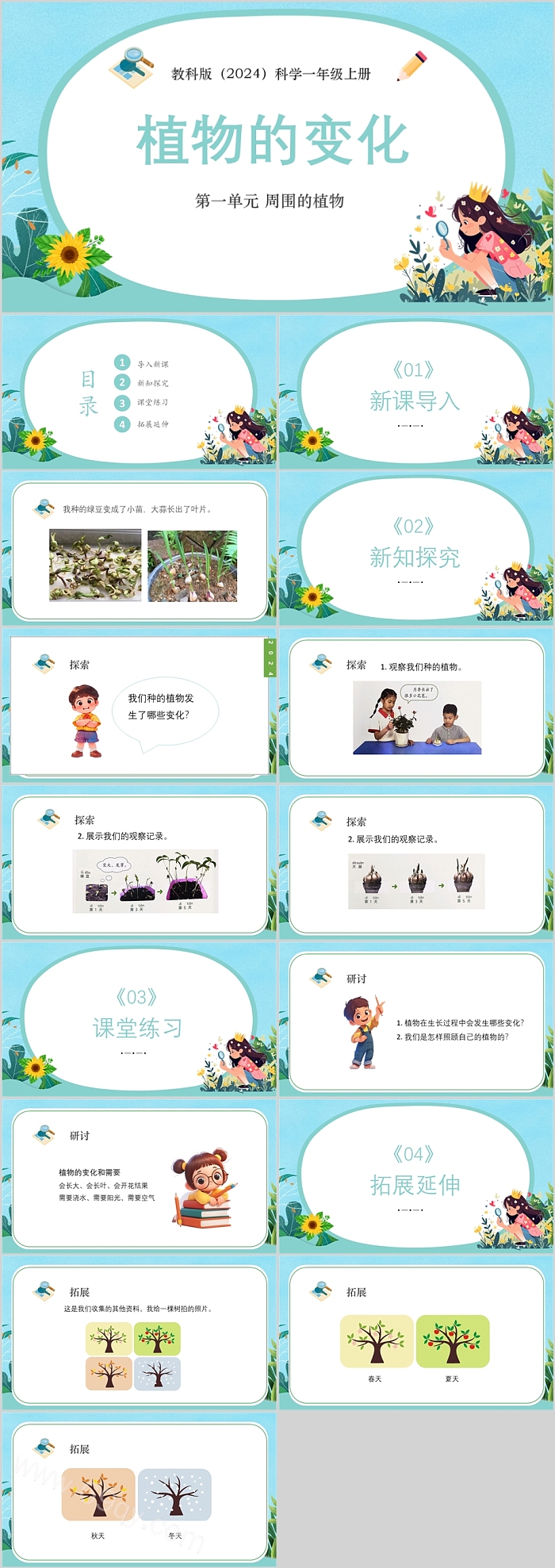 2024新教科版小学科学一年级上册第一单元 周围的植物 5.《植物的变化》教学ppt课件