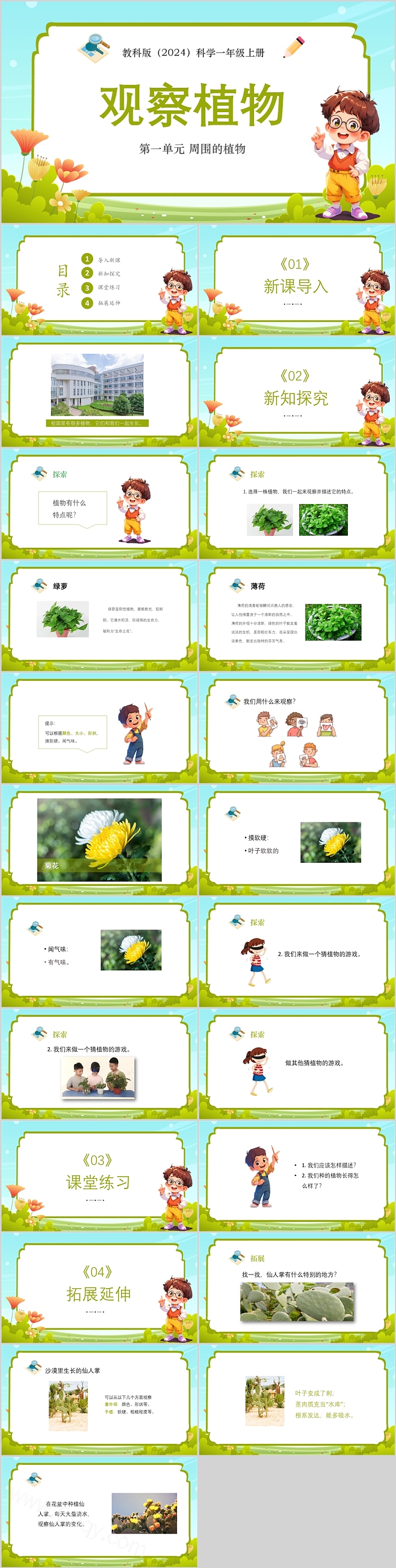 2024新教科版小学科学一年级上册第一单元 周围的植物《观察植物》教学ppt课件