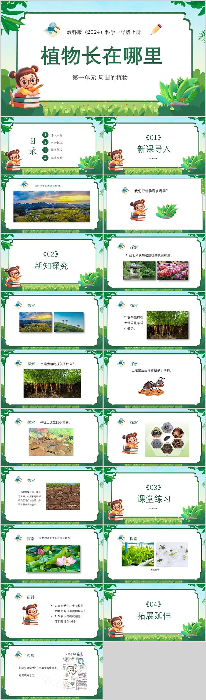 2024新教科版小学科学一年级上册第一单元 周围的植物《植物长在哪里》教学ppt课件