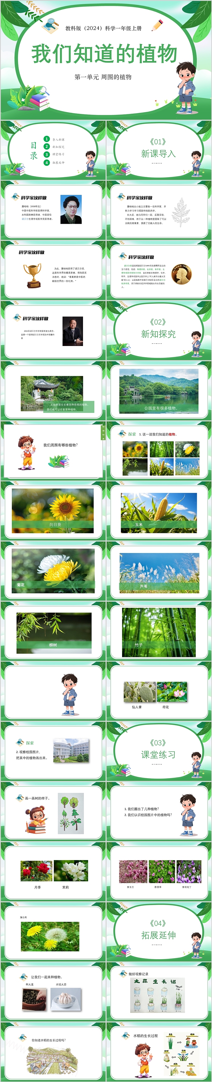 2024新教科版小学科学一年级上册第一单元 周围的植物《我们知道的植物》教学ppt课件