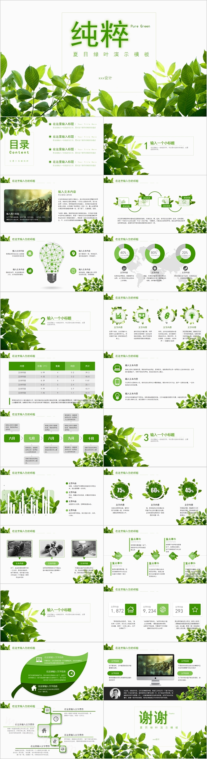 夏日绿叶工作总结PPT模板