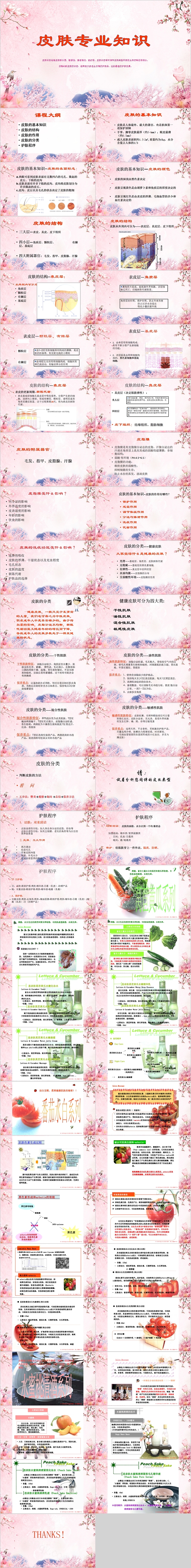 皮肤专业知识皮肤管理PPT模板