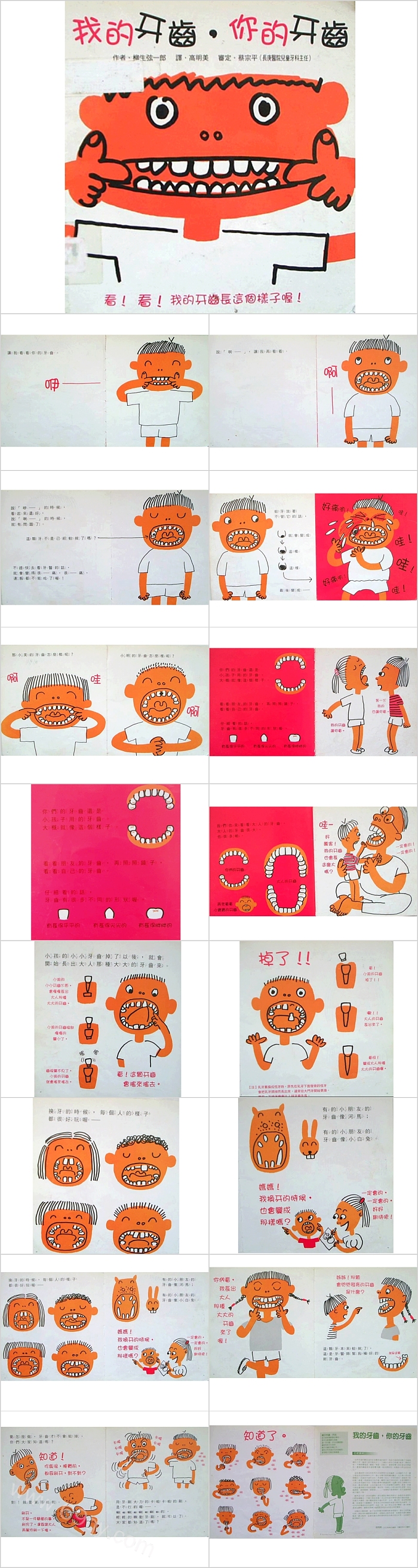 幼儿园《我的牙齿你的牙齿》儿童教育绘本故事PPT课件