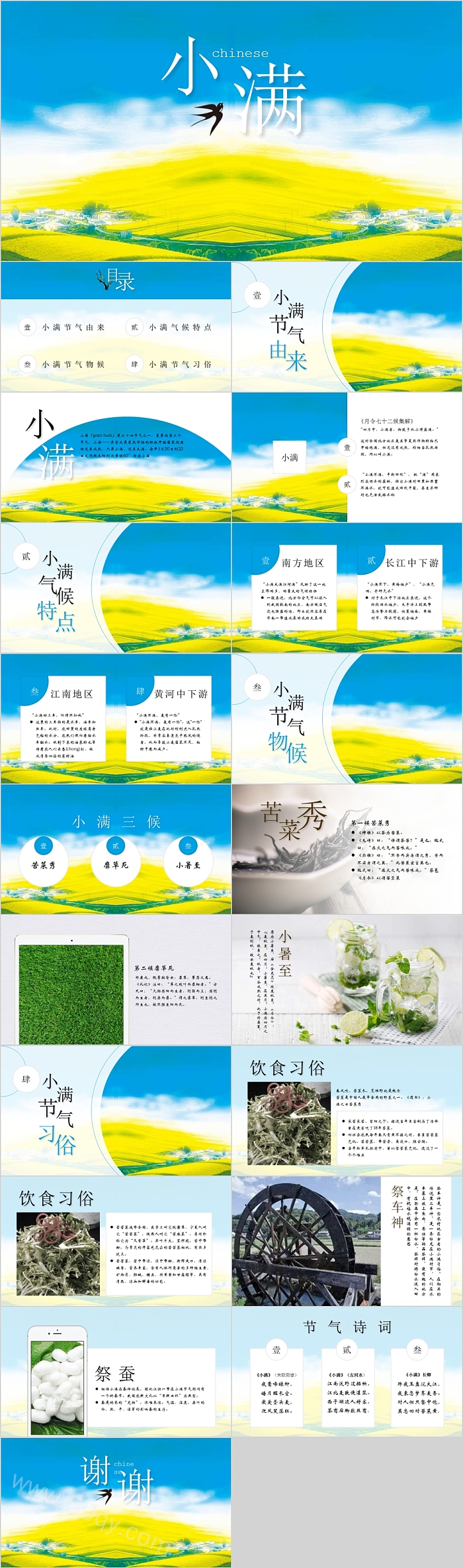 唯美小清新二十四节气之小满PPT模板
