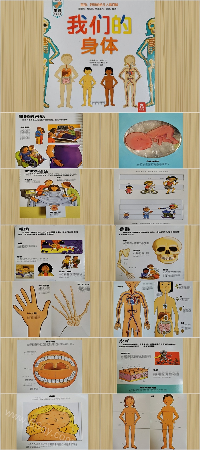 卡通幼儿园《我们的身体》教育绘本故事PPT课件