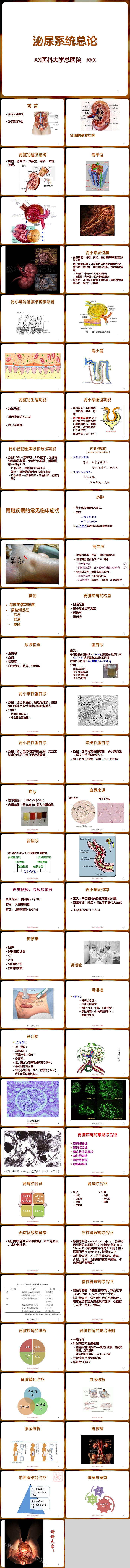 泌尿系统总论泌尿系统感染护理查房PPT