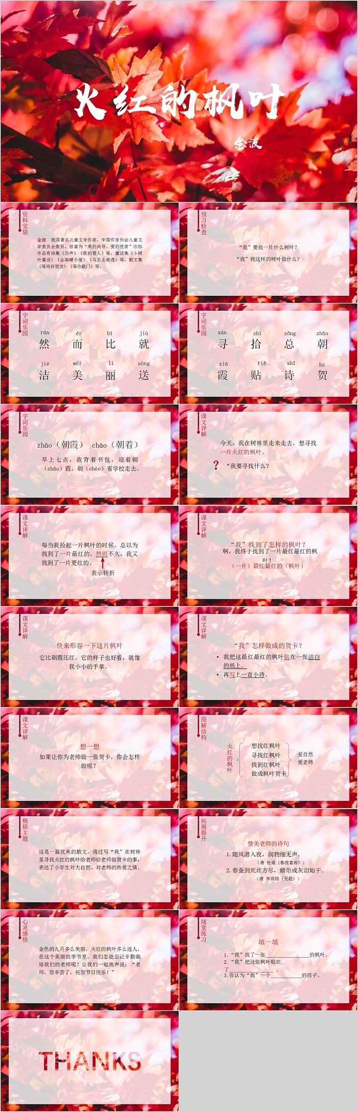 火红的枫叶语文教学课件PPT