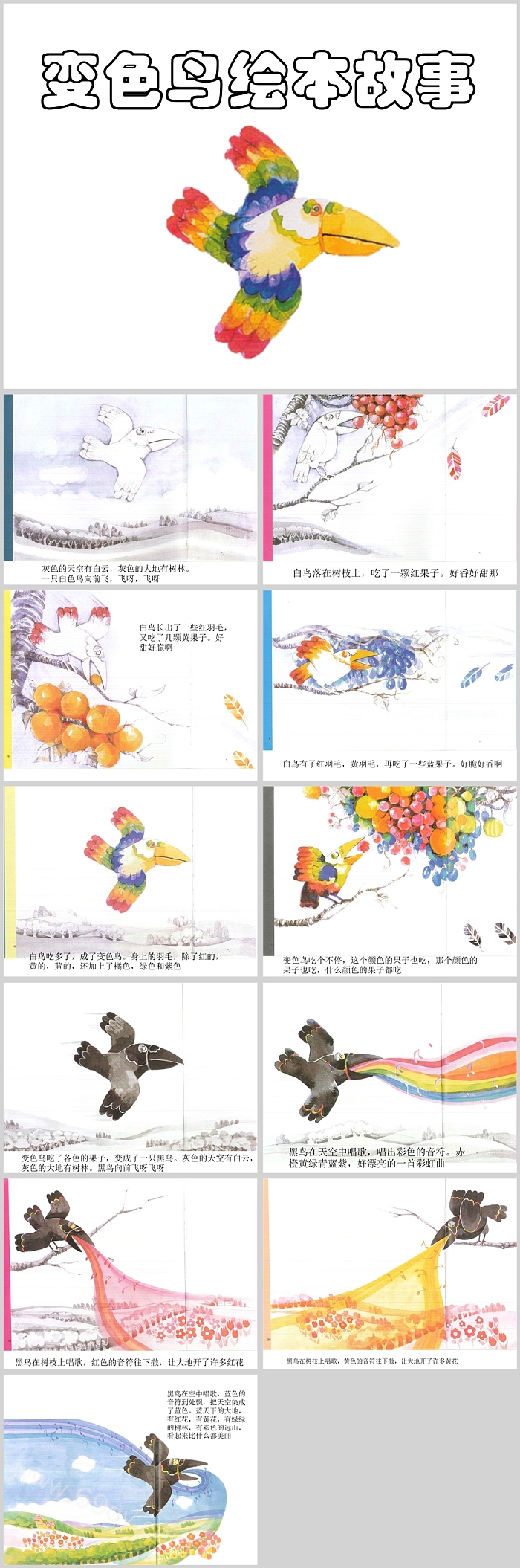 优秀幼儿园小班综合《变色鸟》绘本故事PPT课件