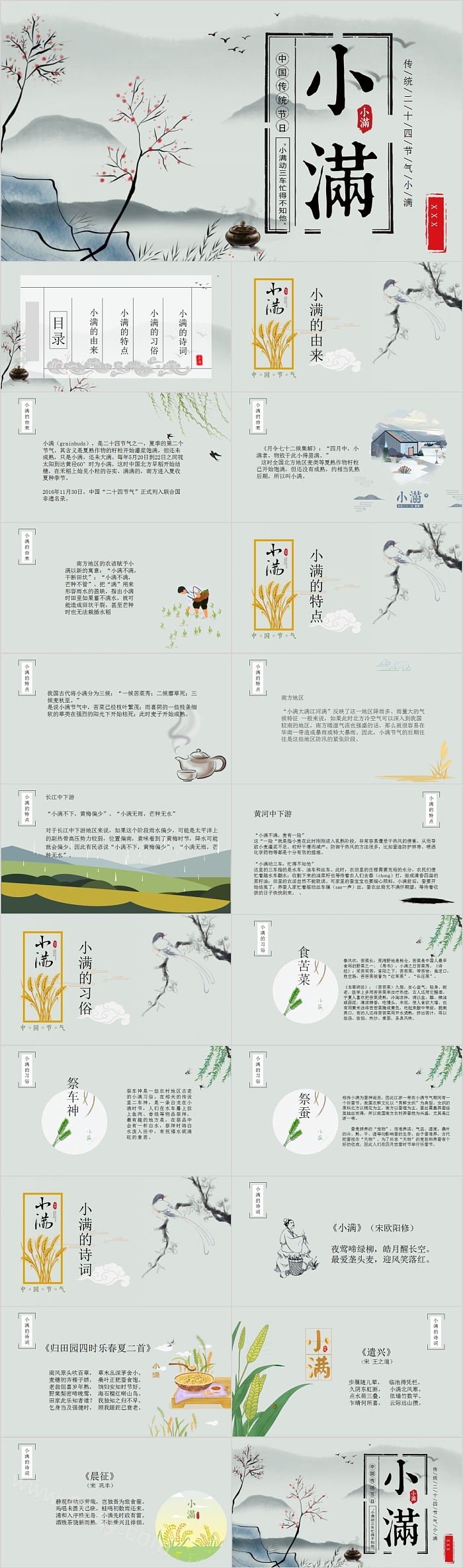 简约风中国二十四节气小满介绍PPT模板