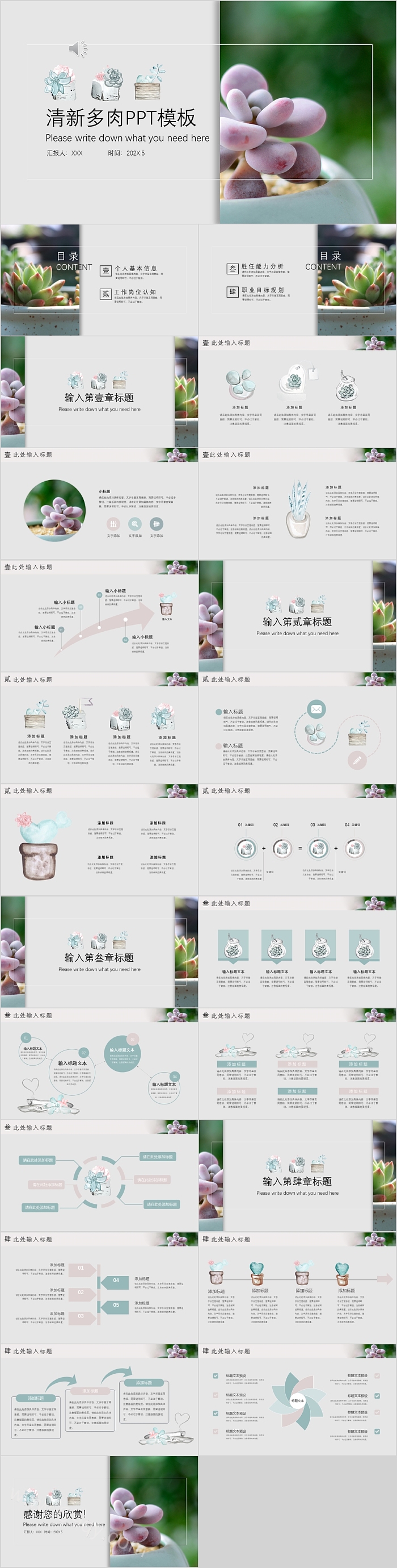 简约清新通用多肉PPT模板
