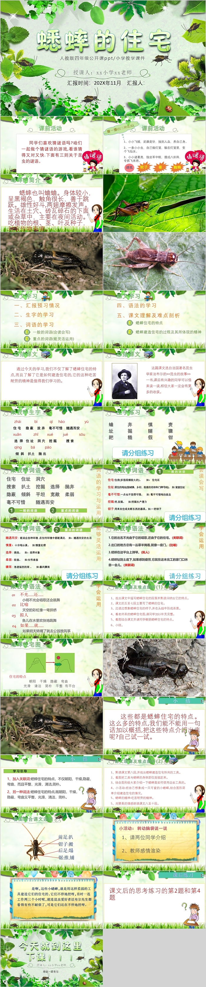 人教版四年级语文公开课蟋蟀的住宅PPT课件
