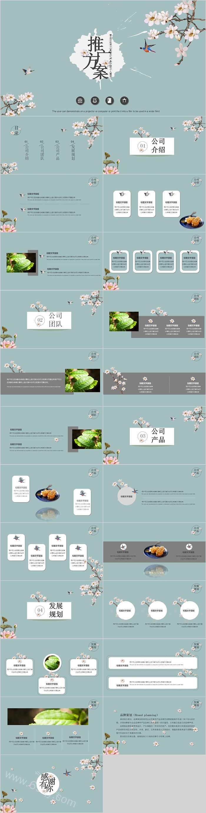 中国风公司产品推广方案PPT模板