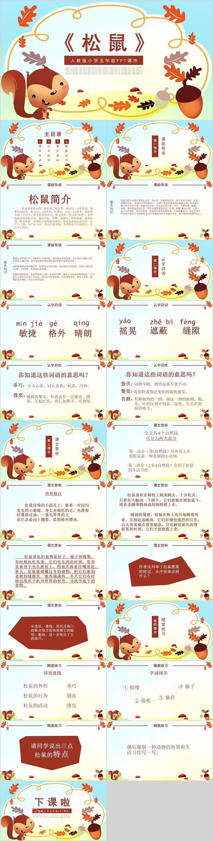 人教版小学五年级语文松鼠PPT课件