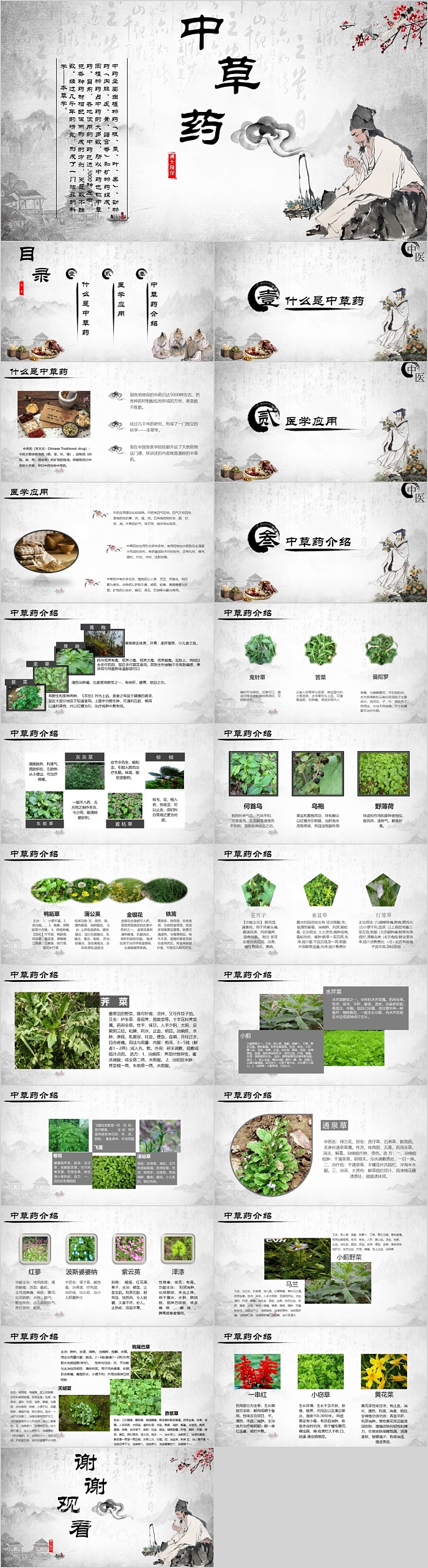 中国风传统文化中草药模板