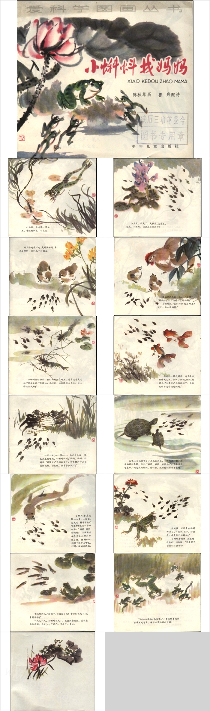 优秀完美版幼儿园《小蝌蚪找妈妈》绘本故事ppt课件