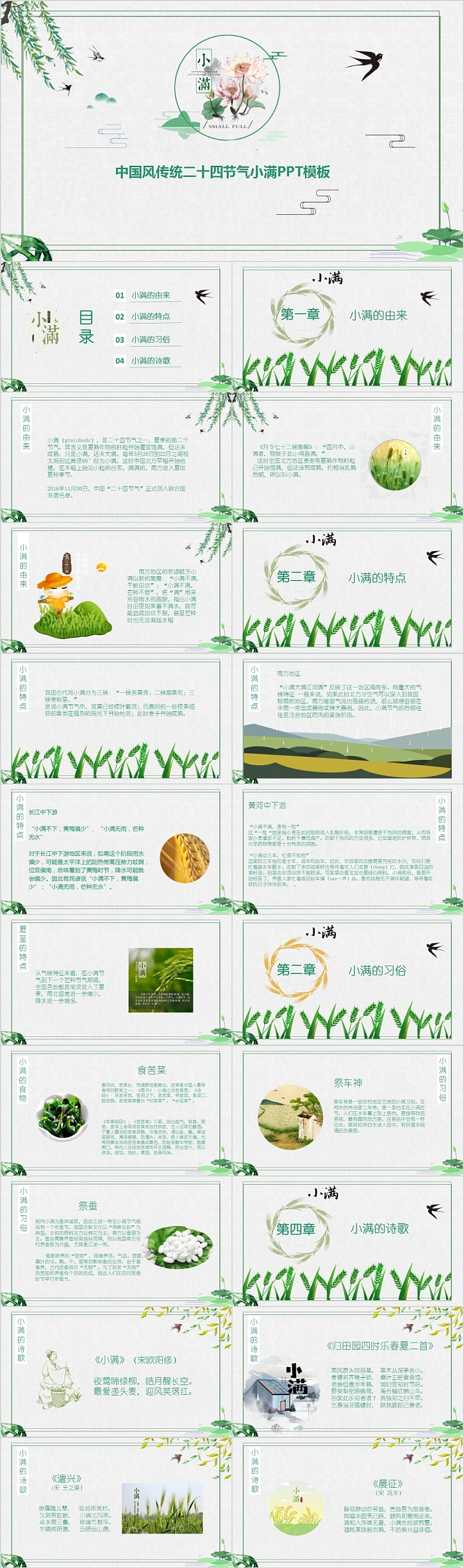 中国风传统二十四节气小满PPT模板
