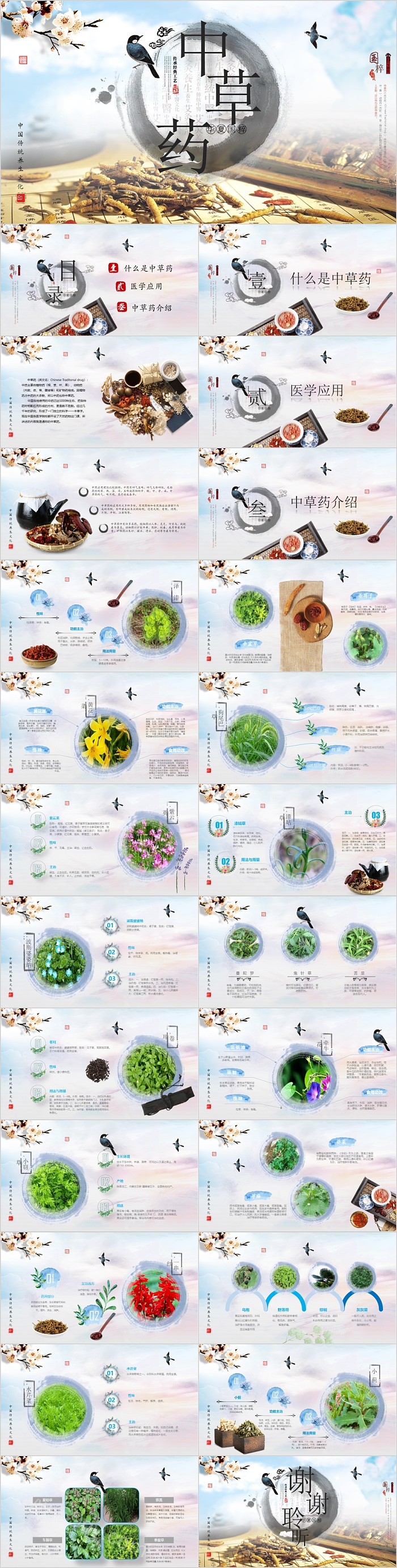 中国风传统我呢话中草药模板