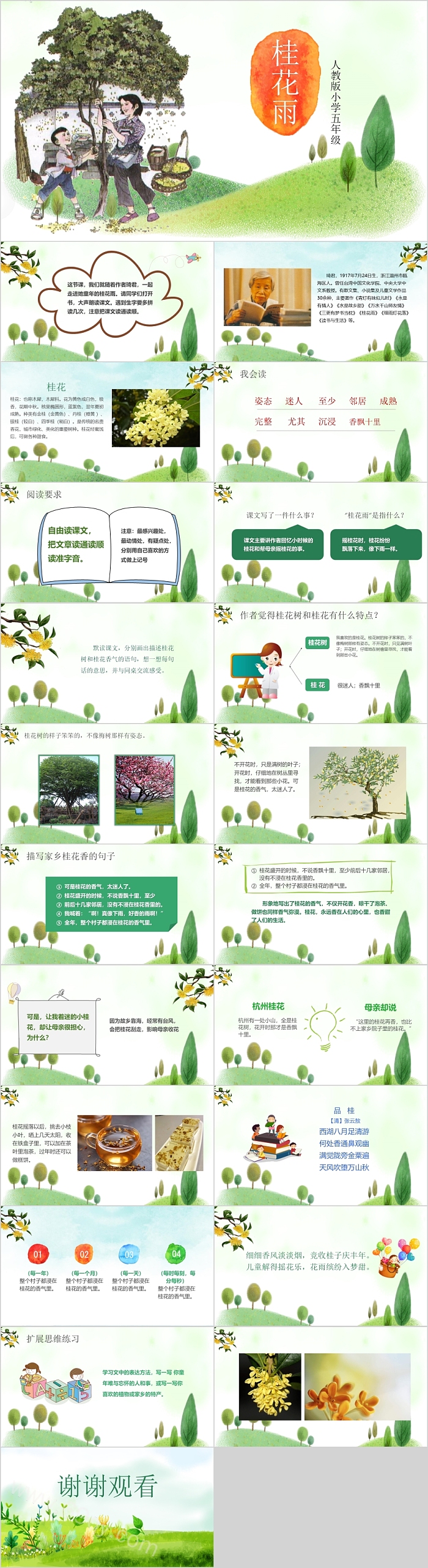 人教版小学五年级桂花雨语文课件PPT
