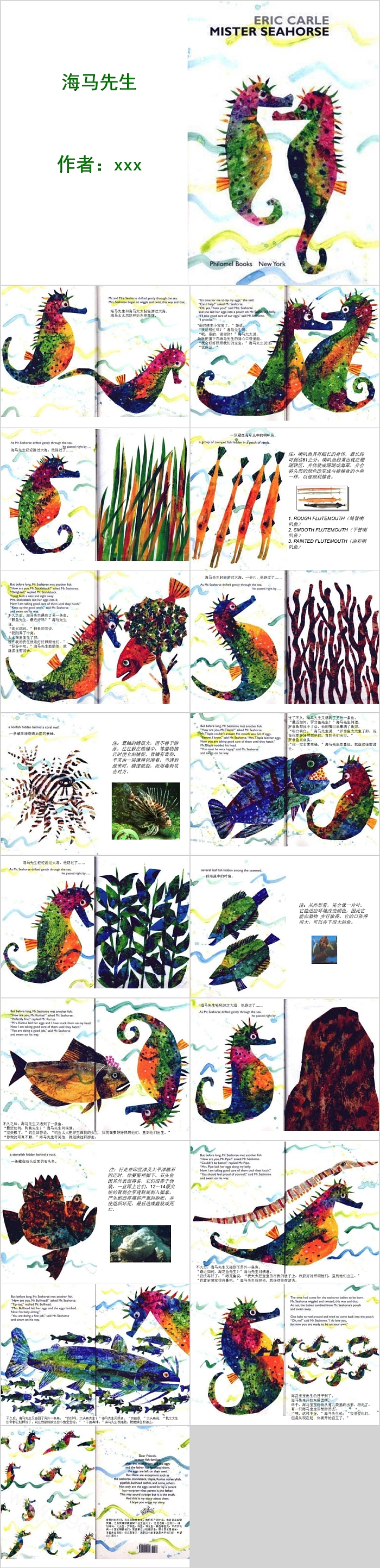 幼儿园幼儿教育《海马先生》图文版绘本故事PPT课件
