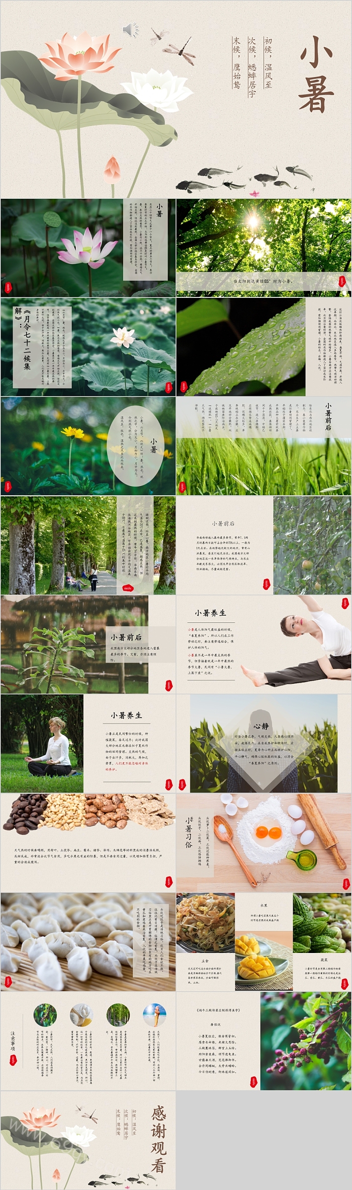 荷花清新主题二十四节气小暑PPT模板