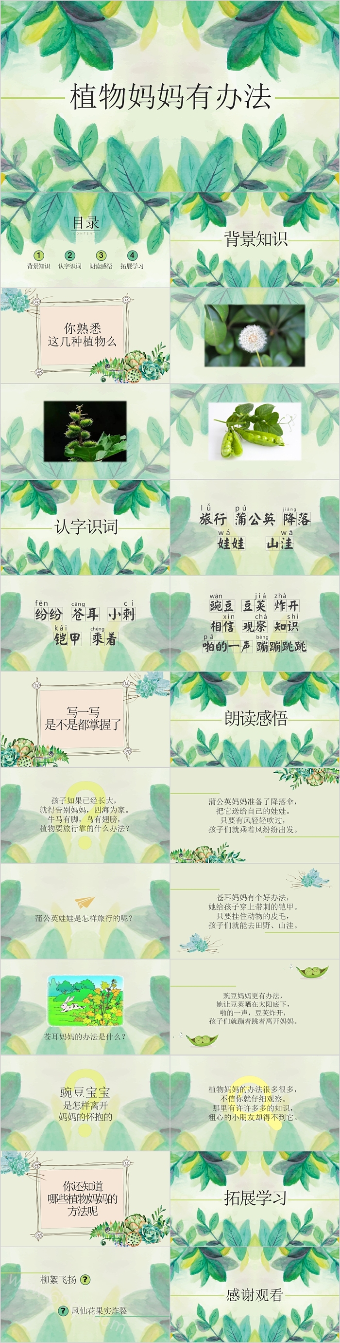 人教版小学二年级语文上册《植物妈妈有办法》PPT课件