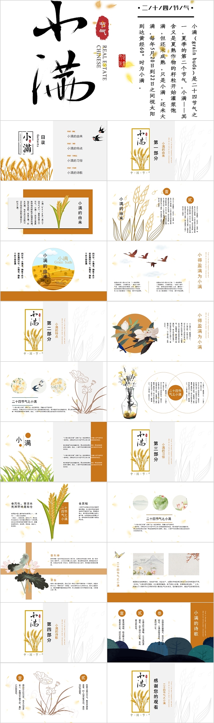 简约风二十四节气小满介绍PPT模板
