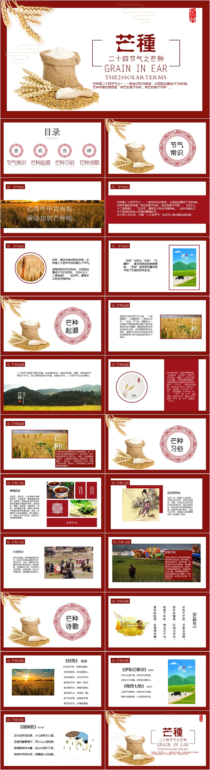 简约小清新二十四节气之芒种PPT模板