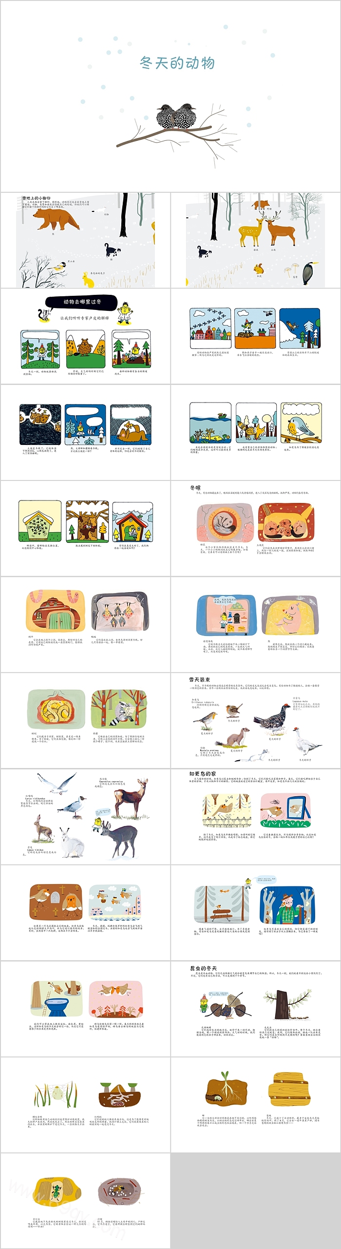优秀完整版幼儿园大班科学《冬天的动物》绘本故事PPT课件
