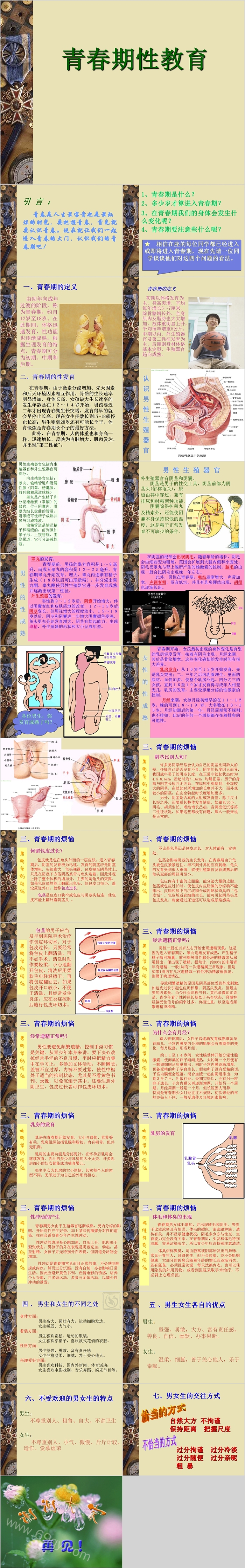 简约清新青春期性教育PPT模板