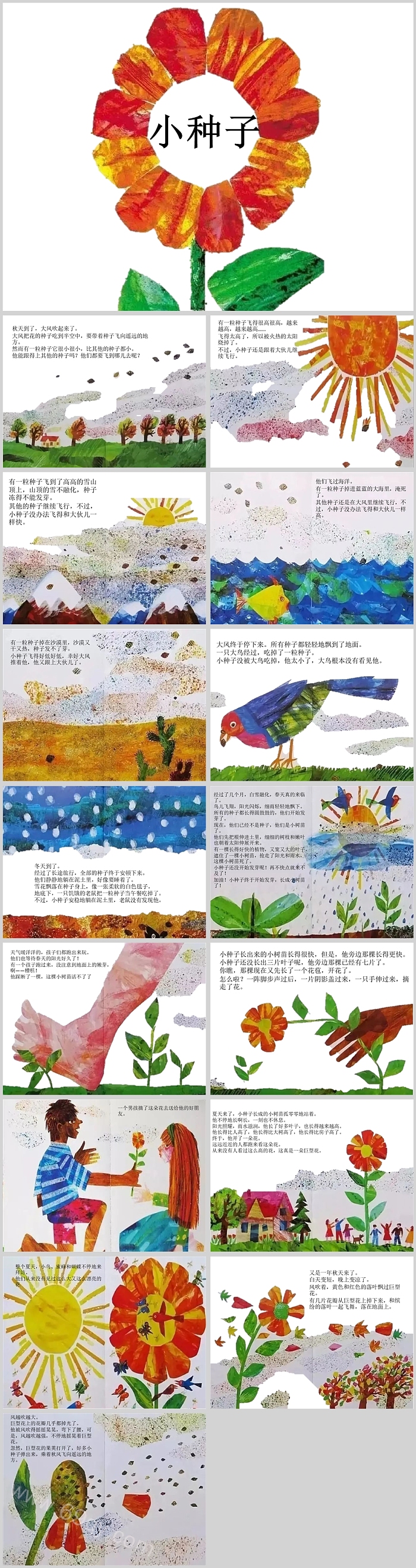 精选完整版幼卡通儿园图文《小种子》绘本故事PPT课件